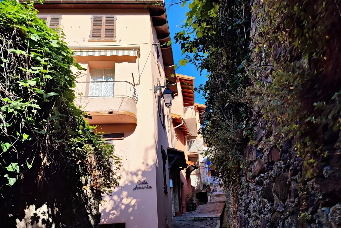 Maison de village avec vue vallée et studio indépendant à Belvédère 