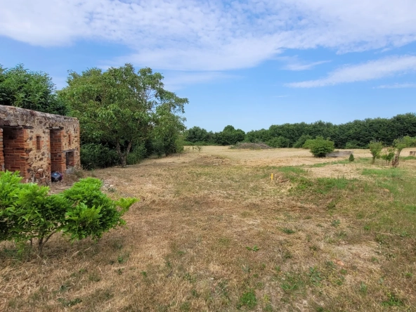 Maison de village à Cléré-sur-Layon avec terrasse et vue dégagée, 108 m² 