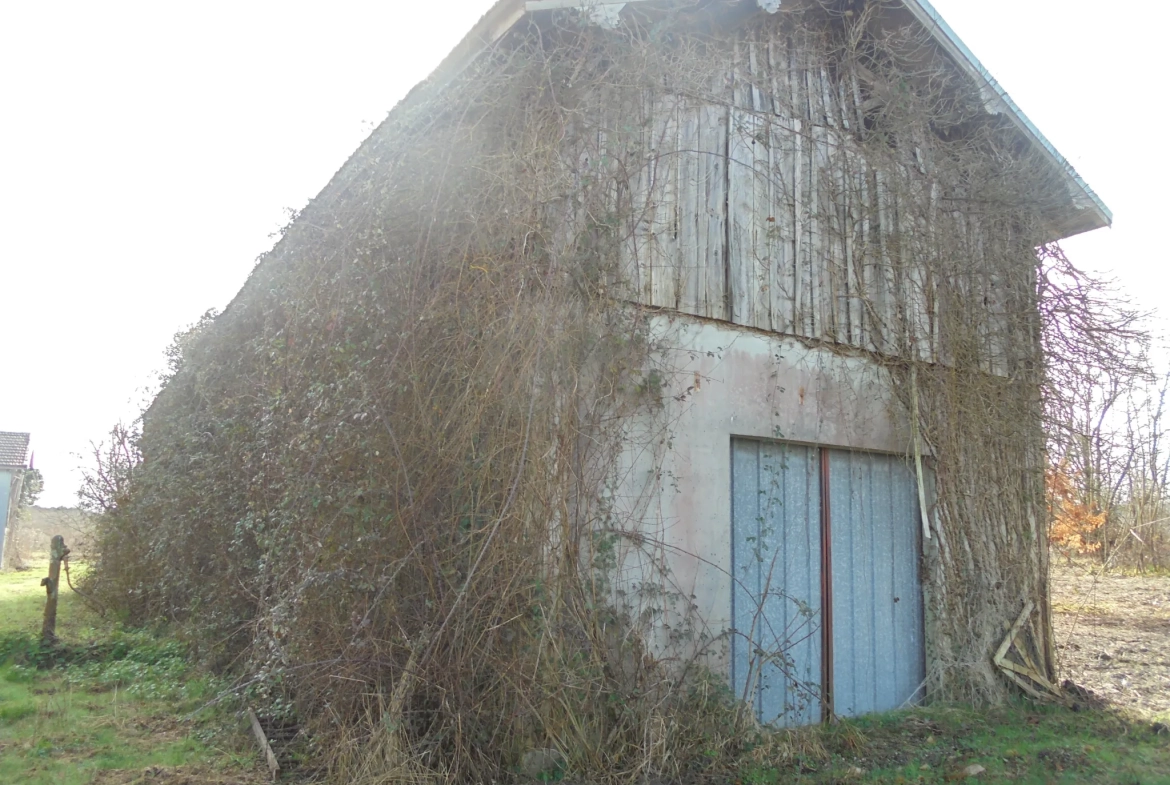 Grande propriété à rénover avec dépendances et terrains agricoles à Auros 