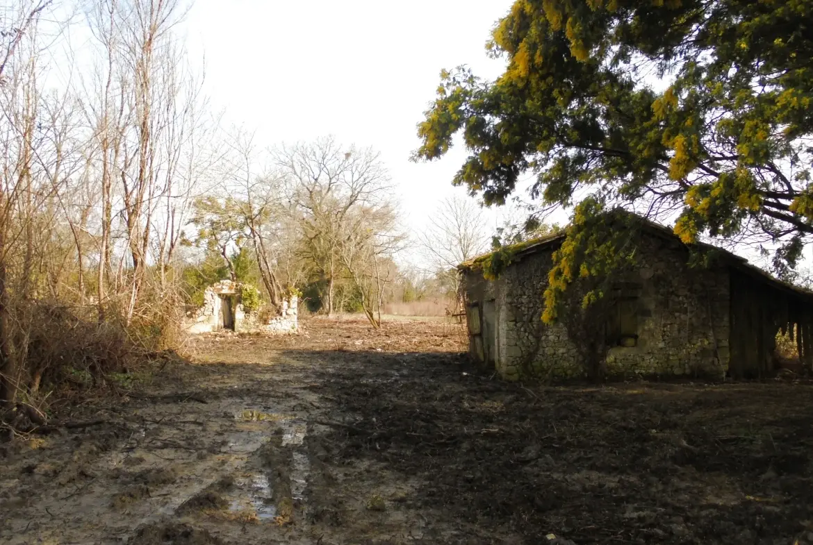 Grande propriété à rénover avec dépendances et terrains agricoles à Auros 