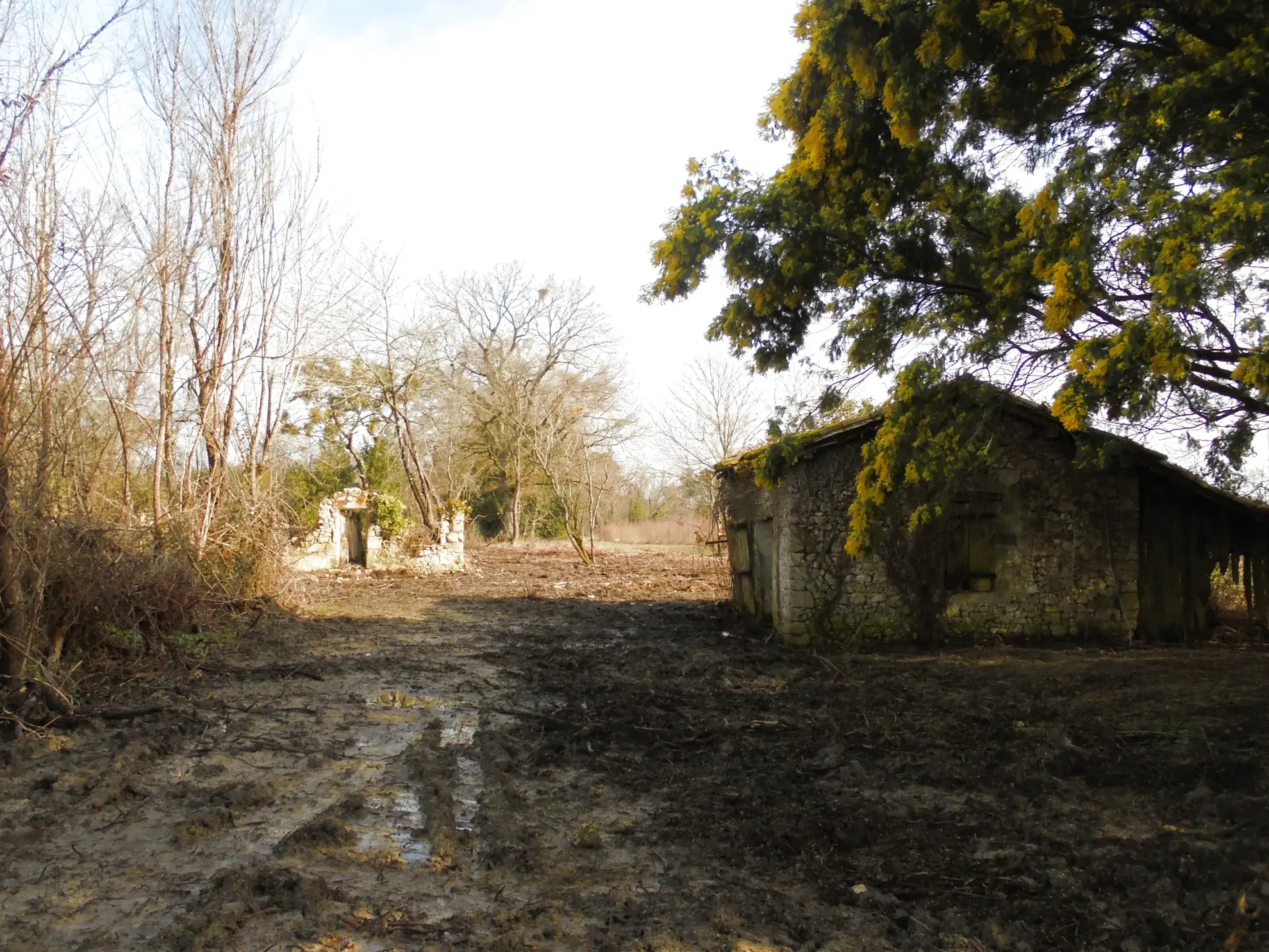 Grande propriété à rénover avec dépendances et terrains agricoles à Auros 