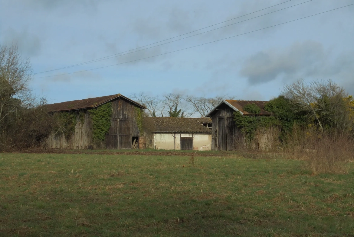 Grande propriété à rénover avec dépendances et terrains agricoles à Auros 