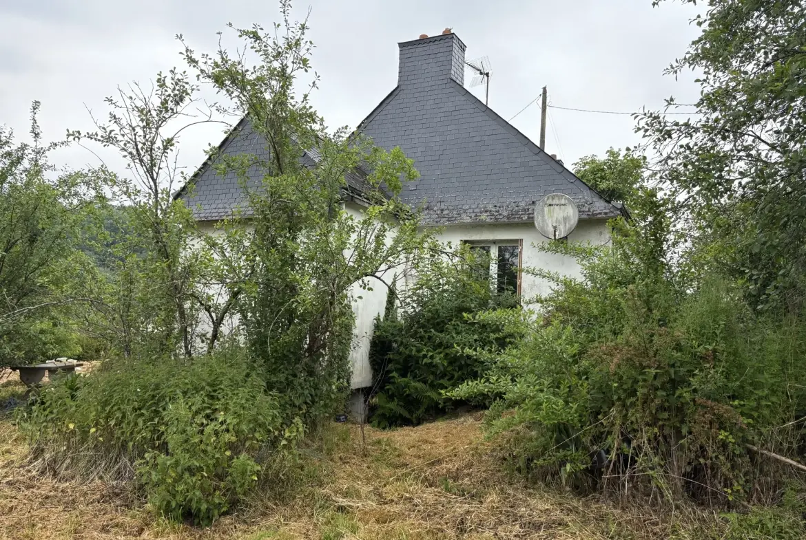 Maison à rénover de 55 m² avec grand terrain constructible à Plumeliau Bieuzy 