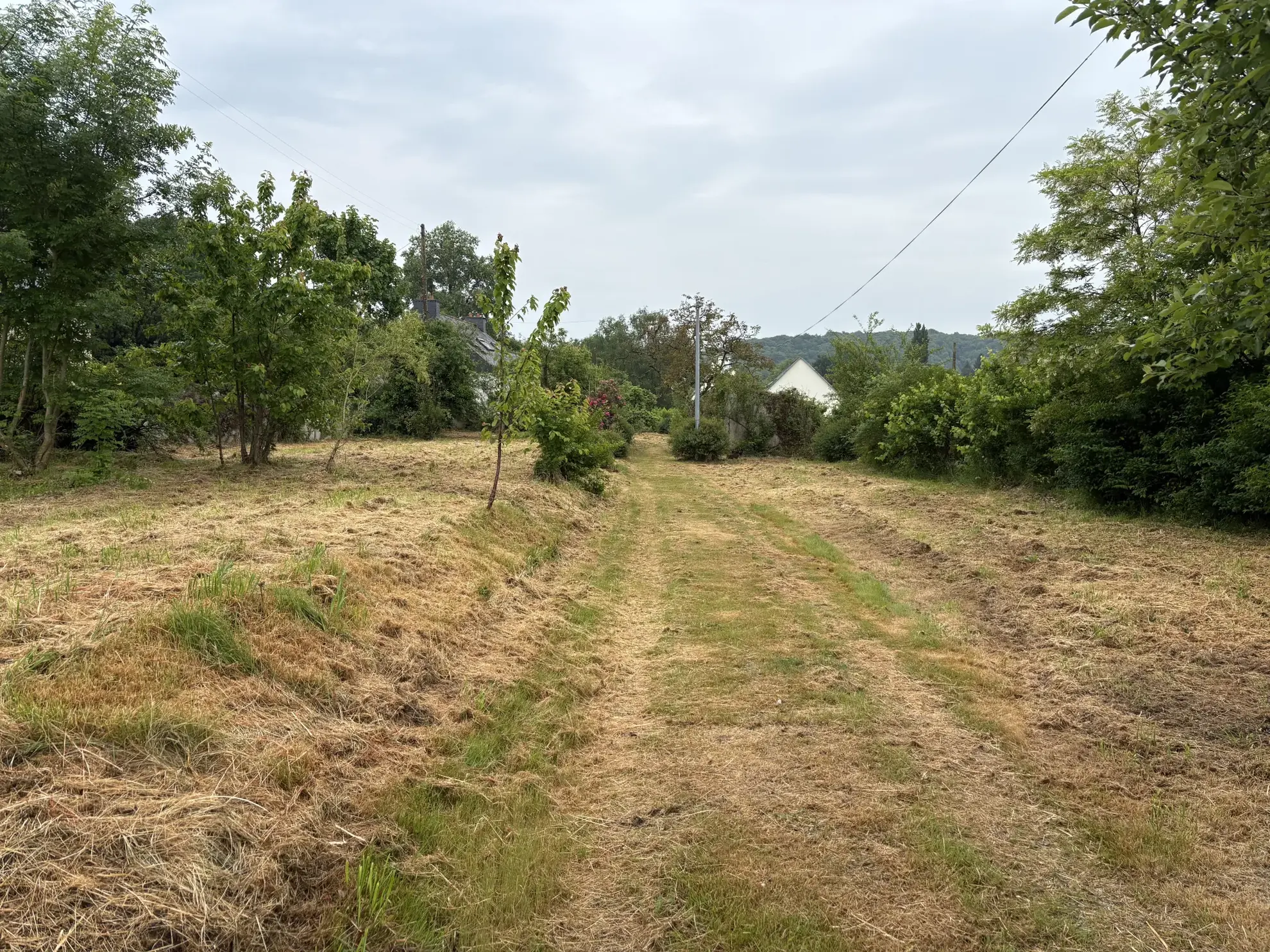 Maison à rénover de 55 m² avec grand terrain constructible à Plumeliau Bieuzy 
