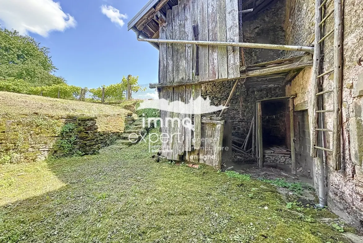 Maison de village à rénover à Senonges avec jardin de 450 m2 