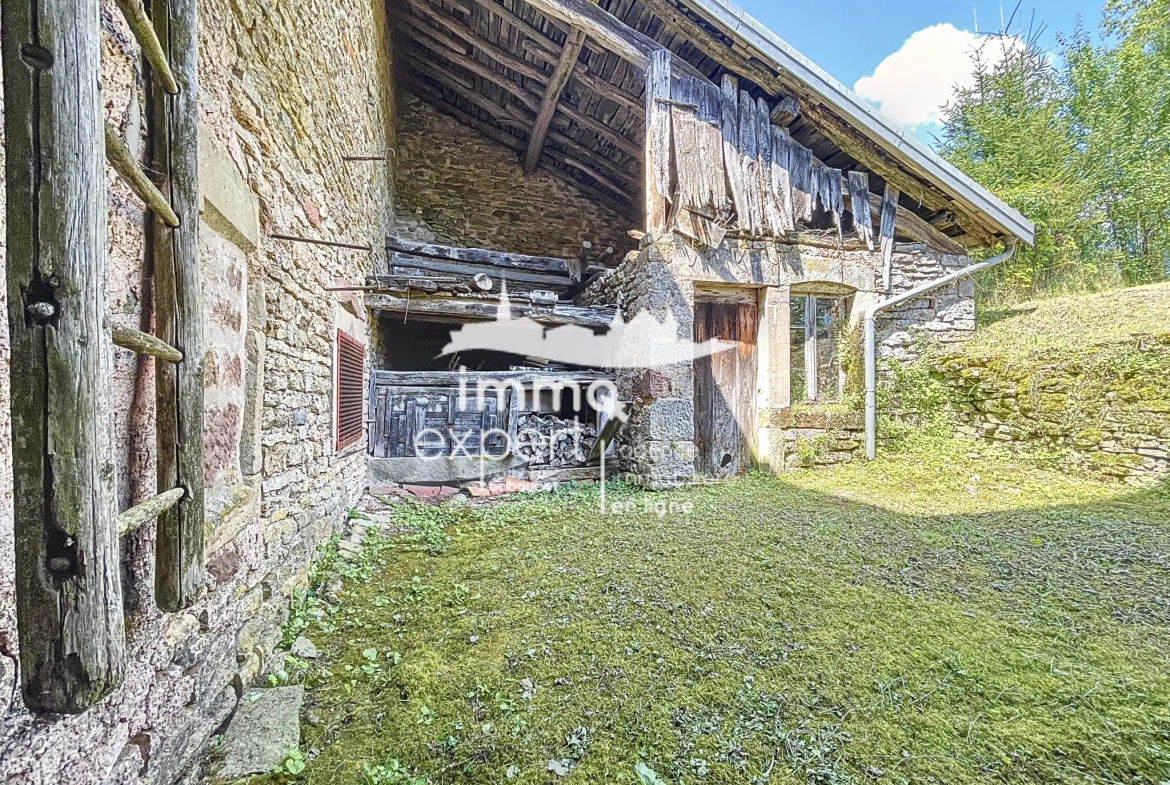 Maison de village à rénover à Senonges avec jardin de 450 m2 