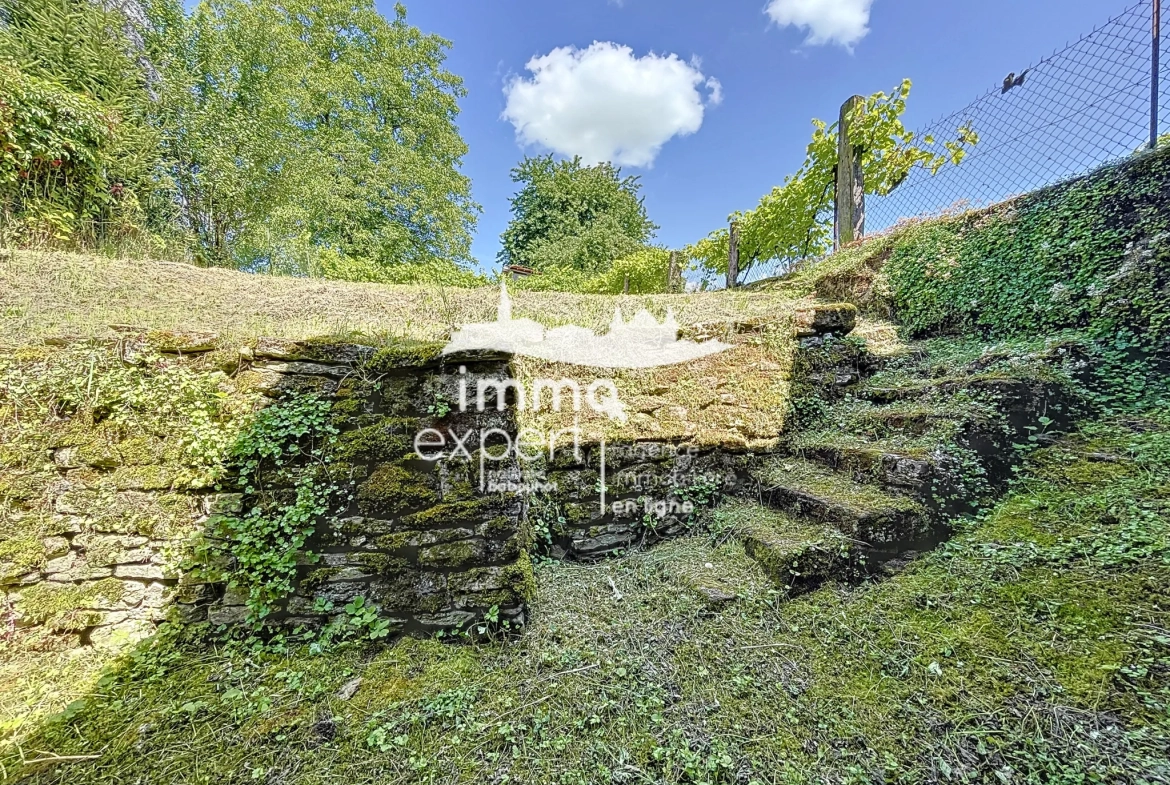 Maison de village à rénover à Senonges avec jardin de 450 m2 