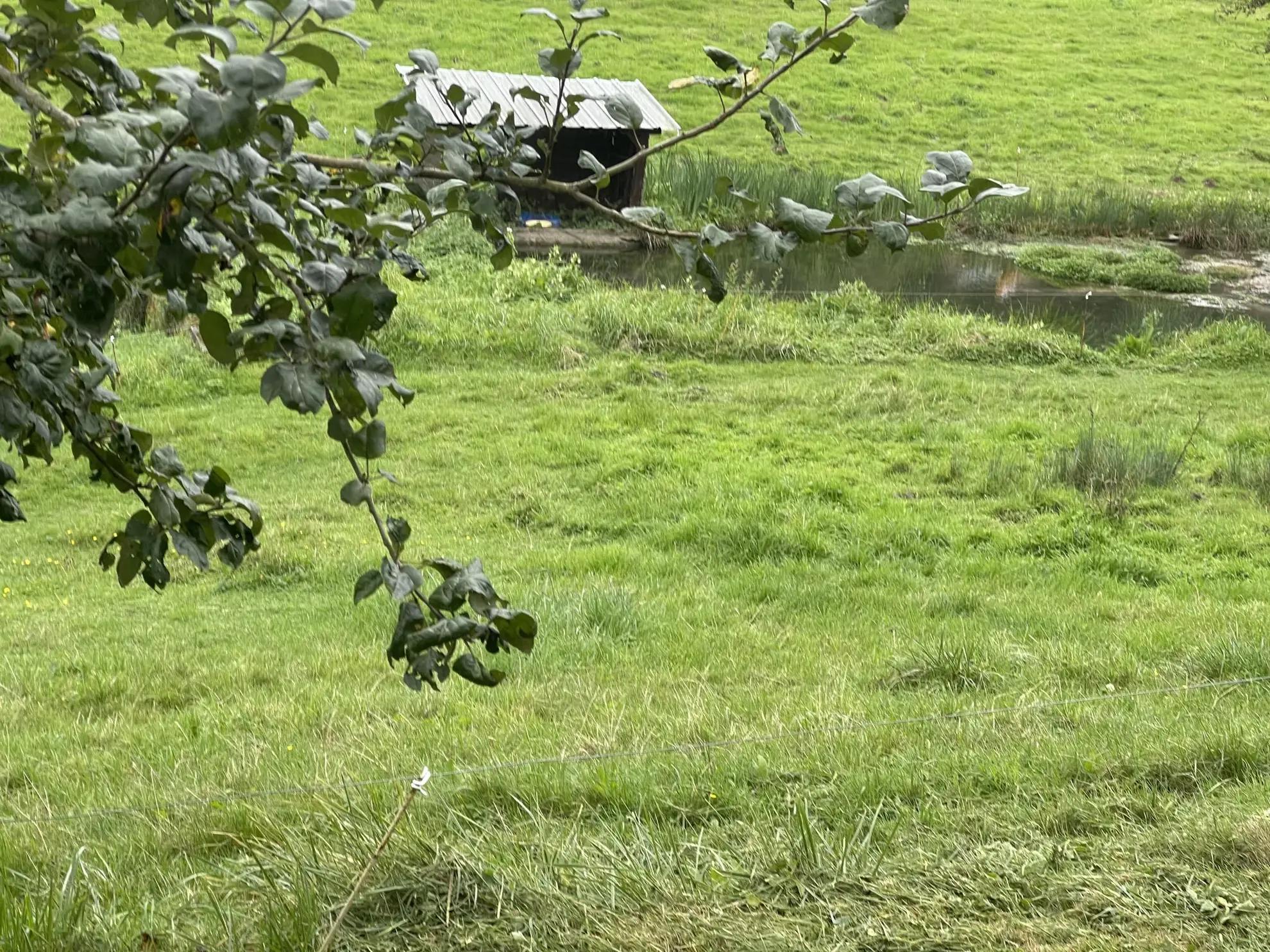 Longère normande de 97 m² avec terrain et plans d’eau à Canapville 