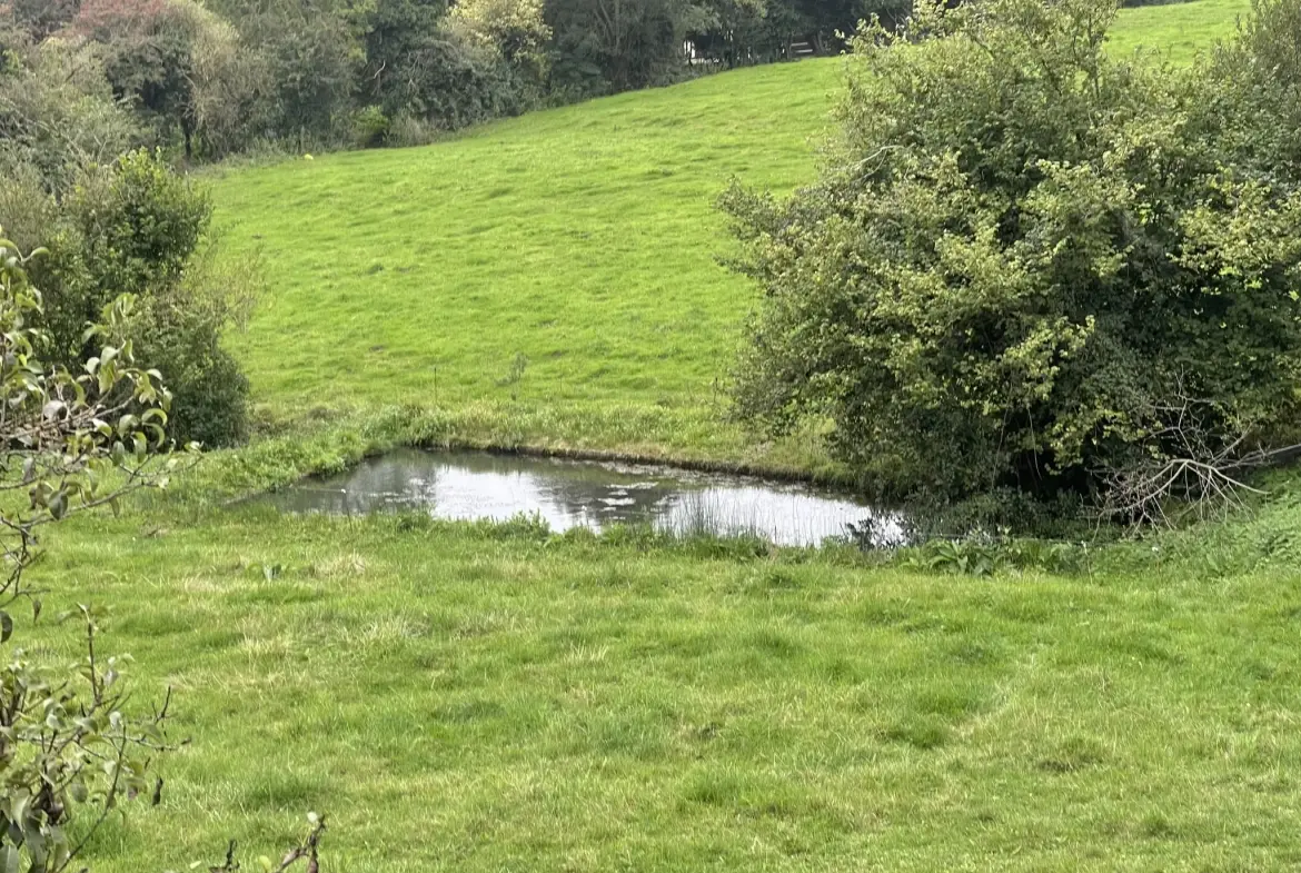 Longère normande de 97 m² avec terrain et plans d’eau à Canapville 