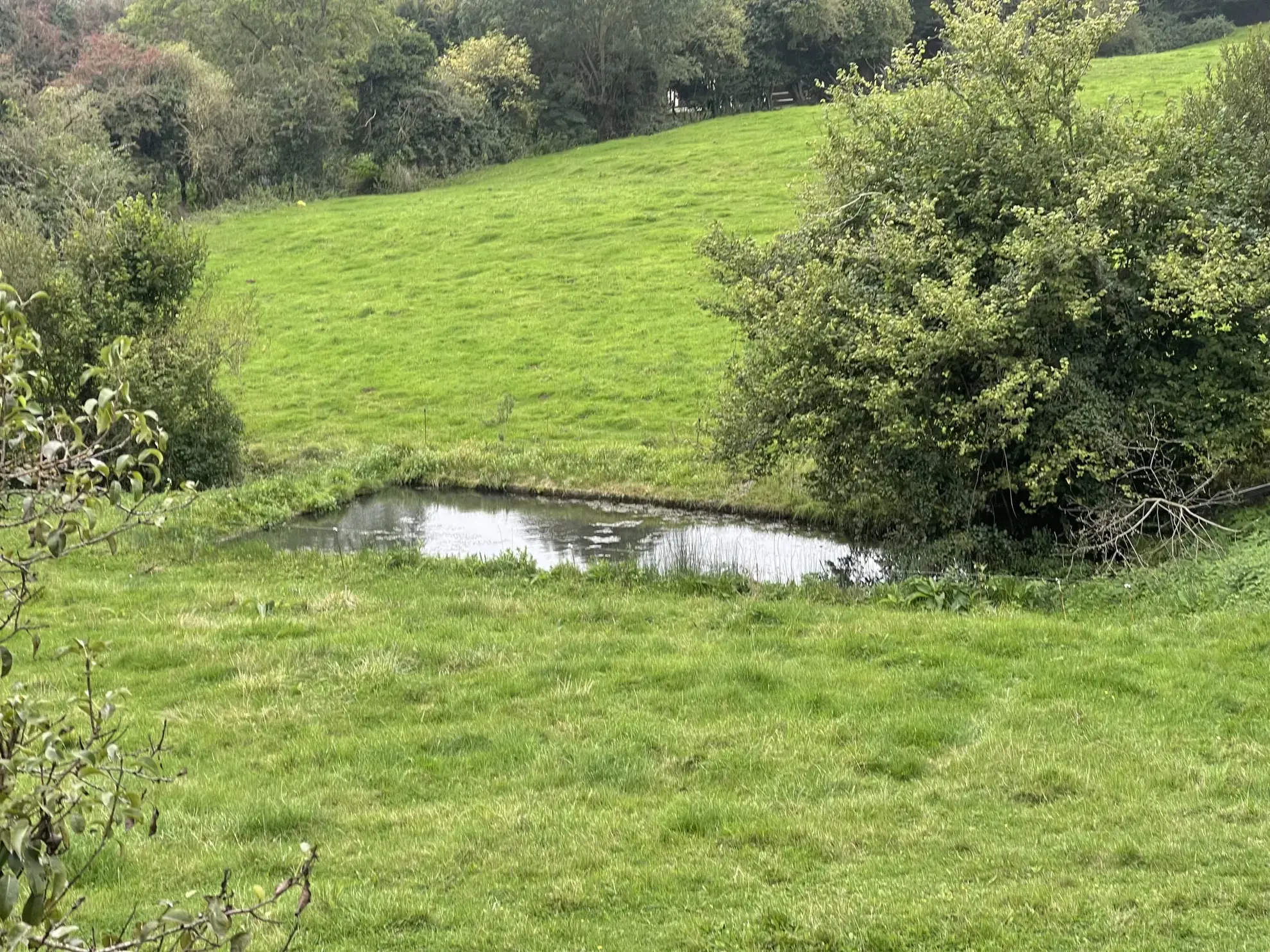 Longère normande de 97 m² avec terrain et plans d’eau à Canapville 