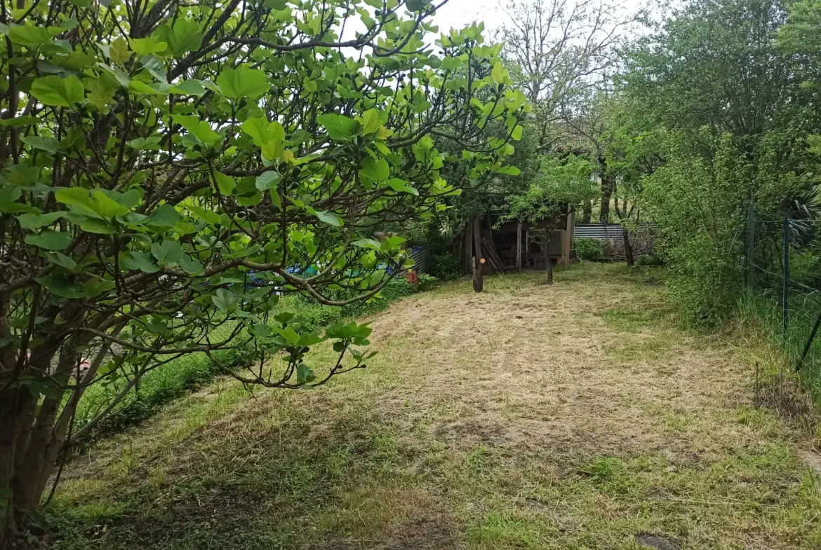 Petite maison à vendre à Roquecourbe avec terrasse, garage et jardin 