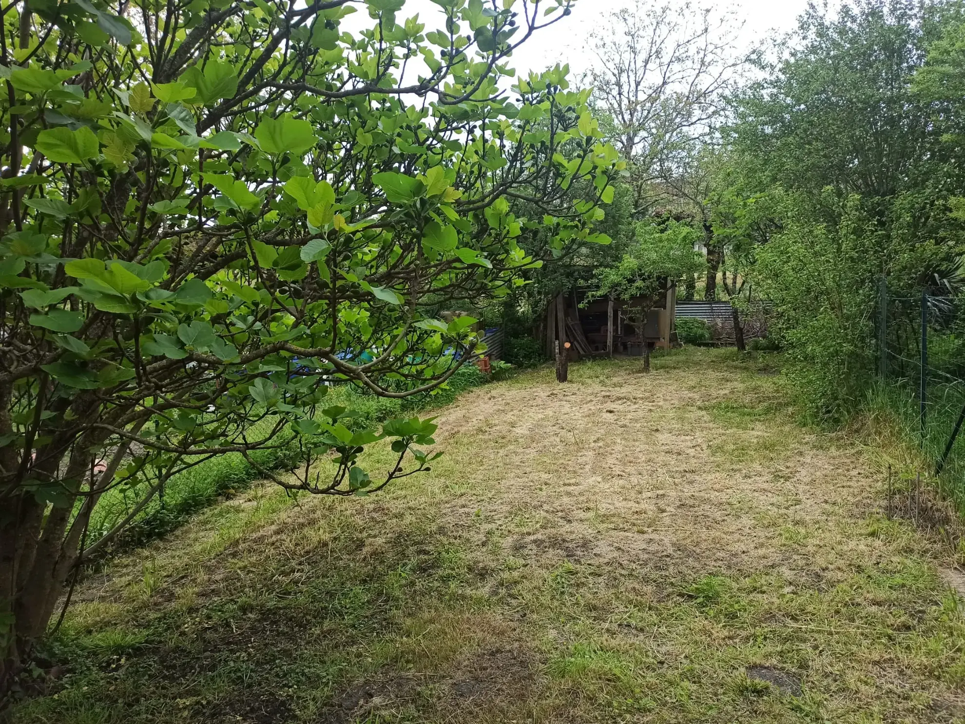 Petite maison à vendre à Roquecourbe avec terrasse, garage et jardin 