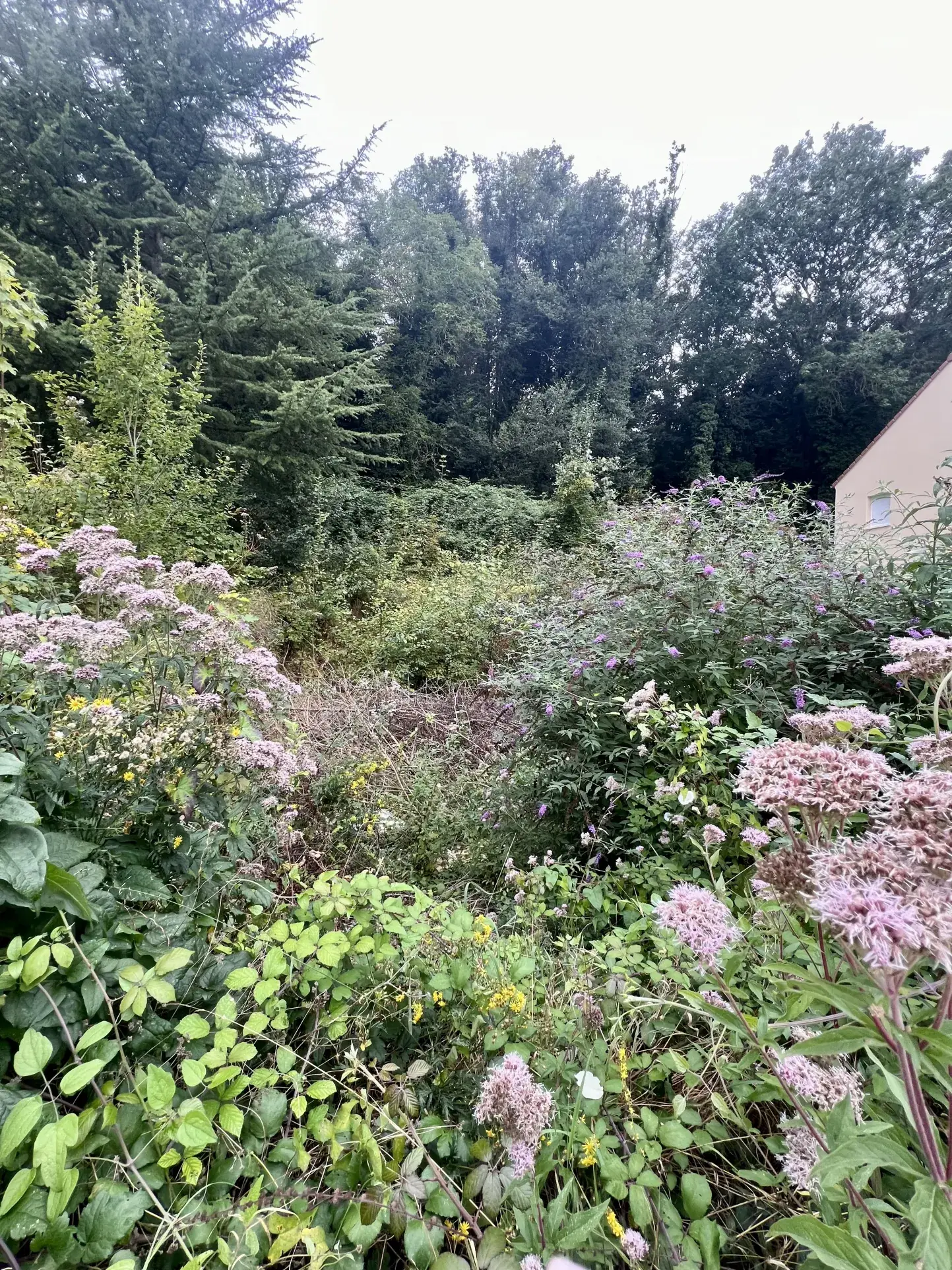 Terrain constructible à Hardricourt avec vue sur Vexin et permis validé 