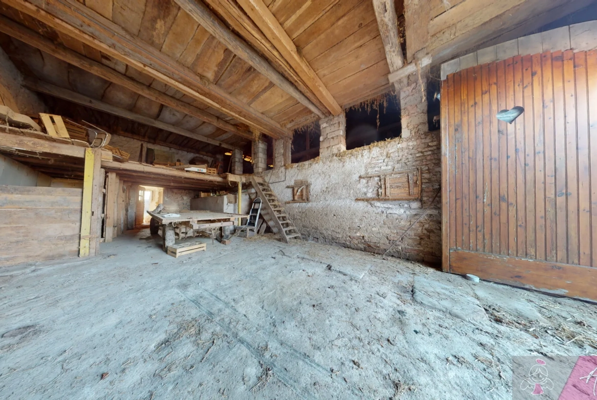 Charmante maison en pierre à vendre à Our, environnement calme, dépendances et grand terrain 