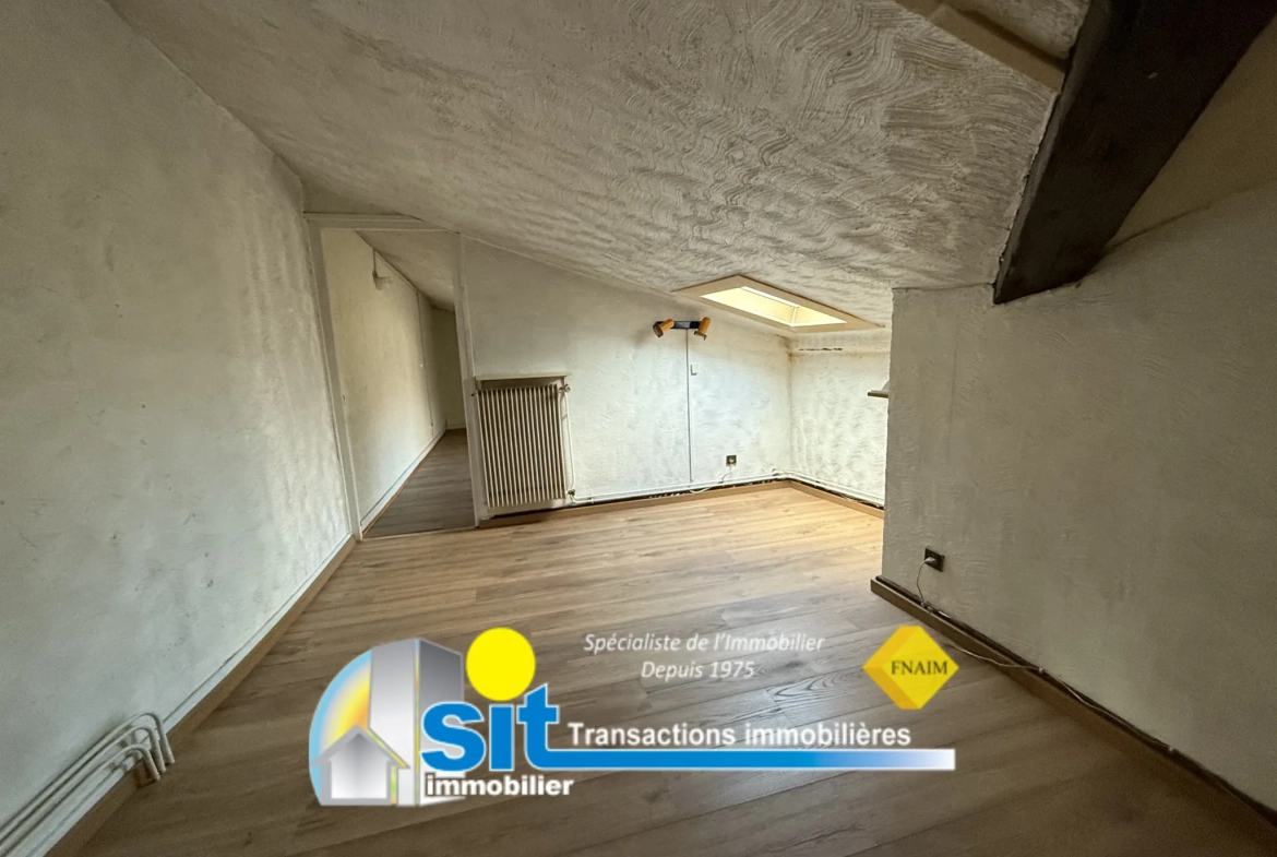 Appartement duplex en centre-ville de Vienne avec vue dégagée et 4 chambres 