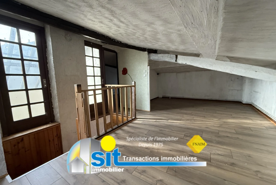 Appartement duplex en centre-ville de Vienne avec vue dégagée et 4 chambres 