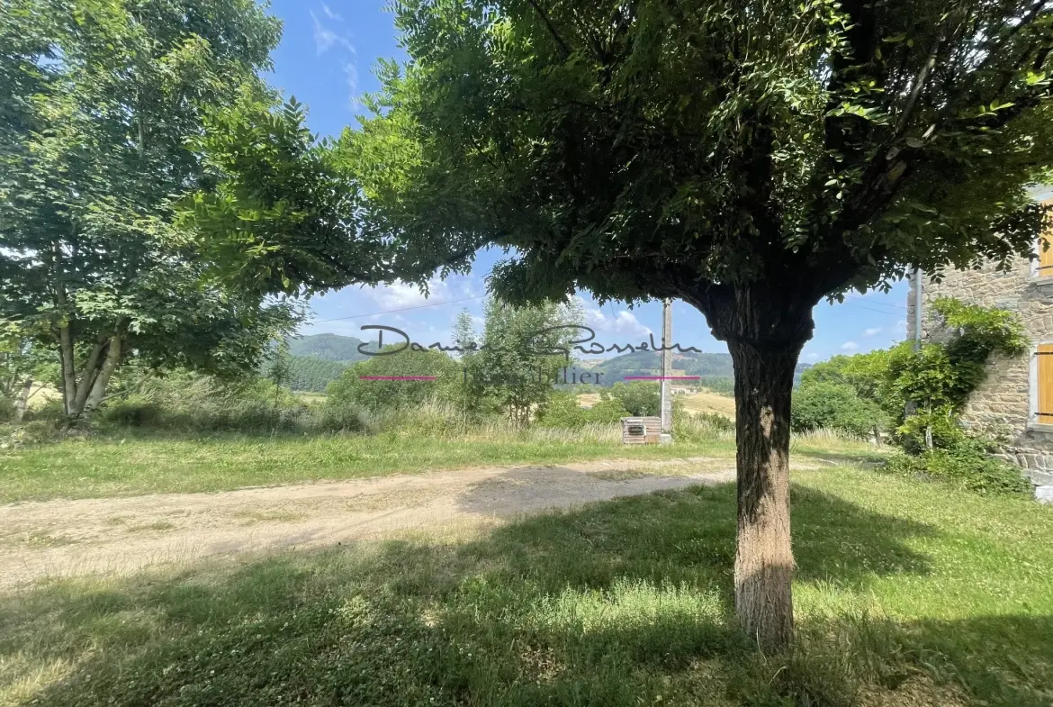 Ensemble immobilier à Cublize proche du lac des Sapins avec grand terrain 