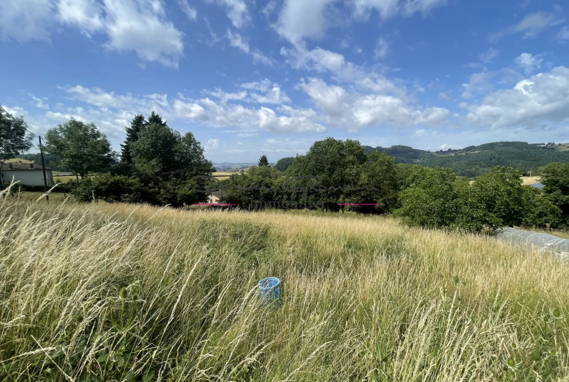 Ensemble immobilier à Cublize proche du lac des Sapins avec grand terrain 
