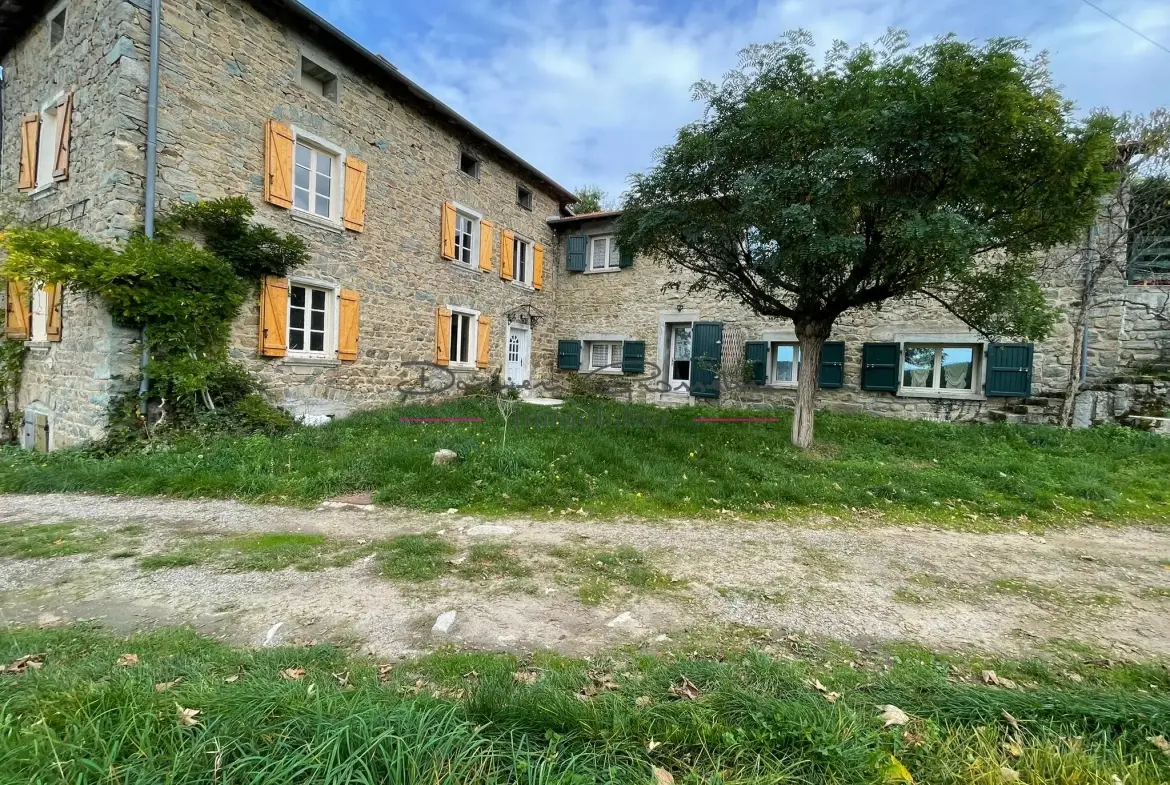 Ensemble immobilier à Cublize proche du lac des Sapins avec grand terrain 