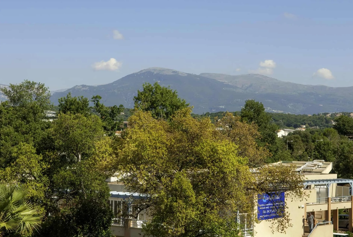 Investissement locatif : studio avec bail commercial à Biot, parfait pour rentabilité 