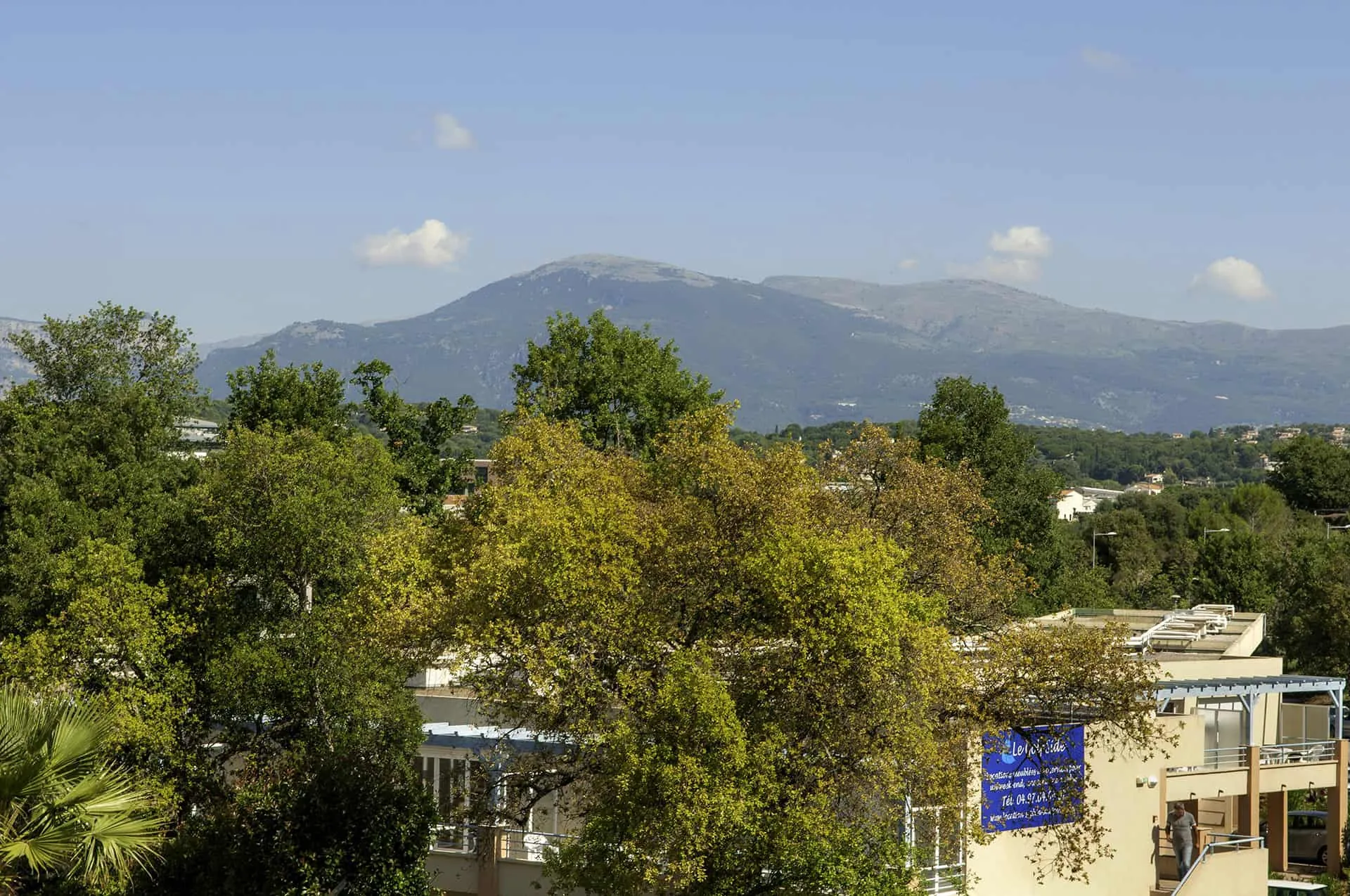 Investissement locatif : studio avec bail commercial à Biot, parfait pour rentabilité 