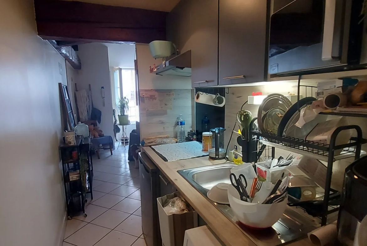 Appartement 3 pièces à Vienne centre-ville, loué, 45 m² 