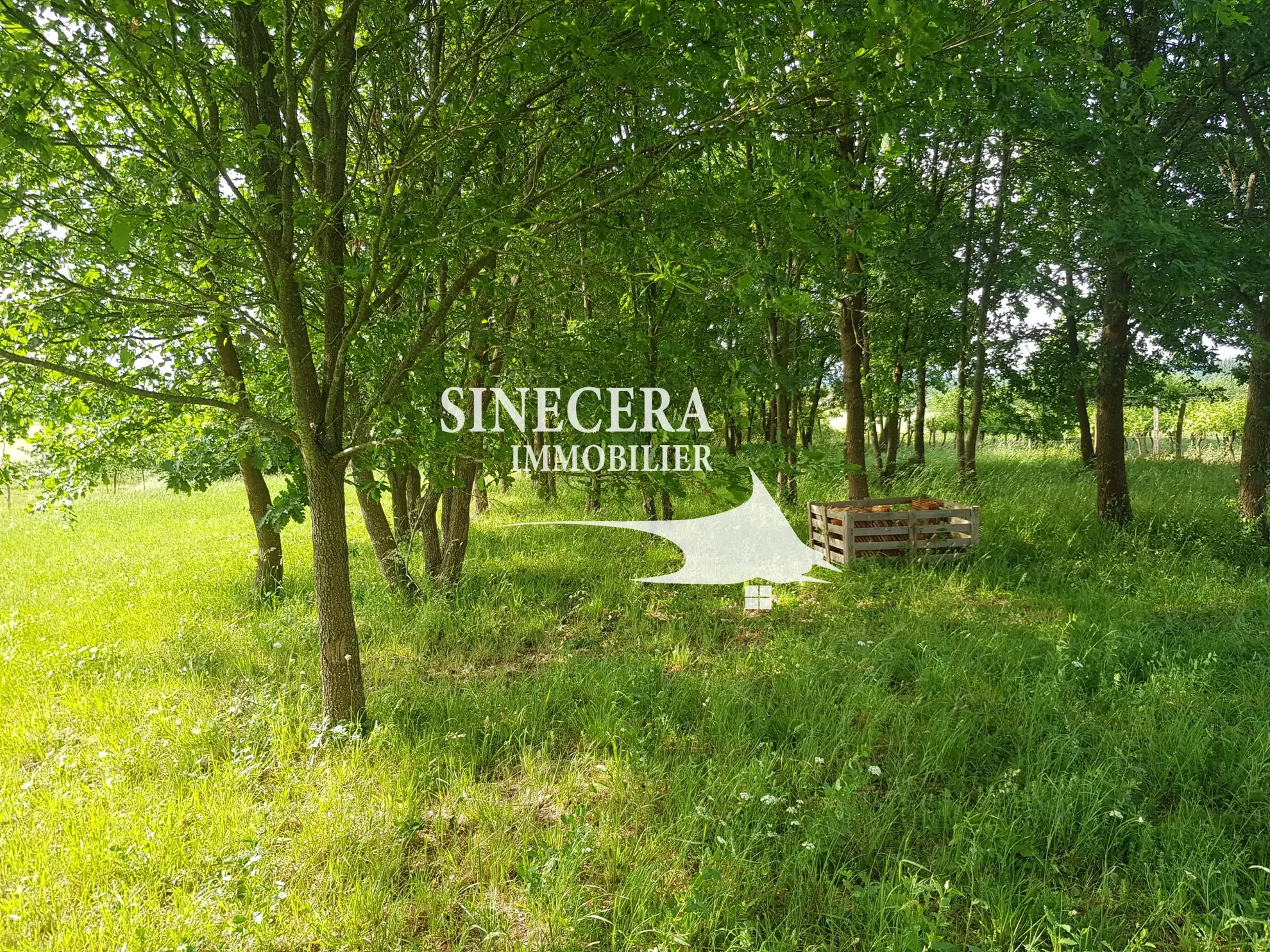 Ensemble immobilier à Montcaret avec deux maisons sur 4600 m² 