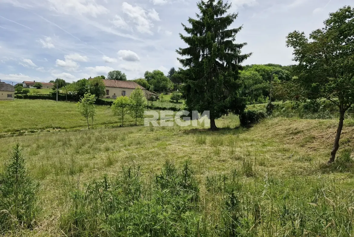 Maison à rénover proche de Tournay avec potentiel locatif et vue dégagée 