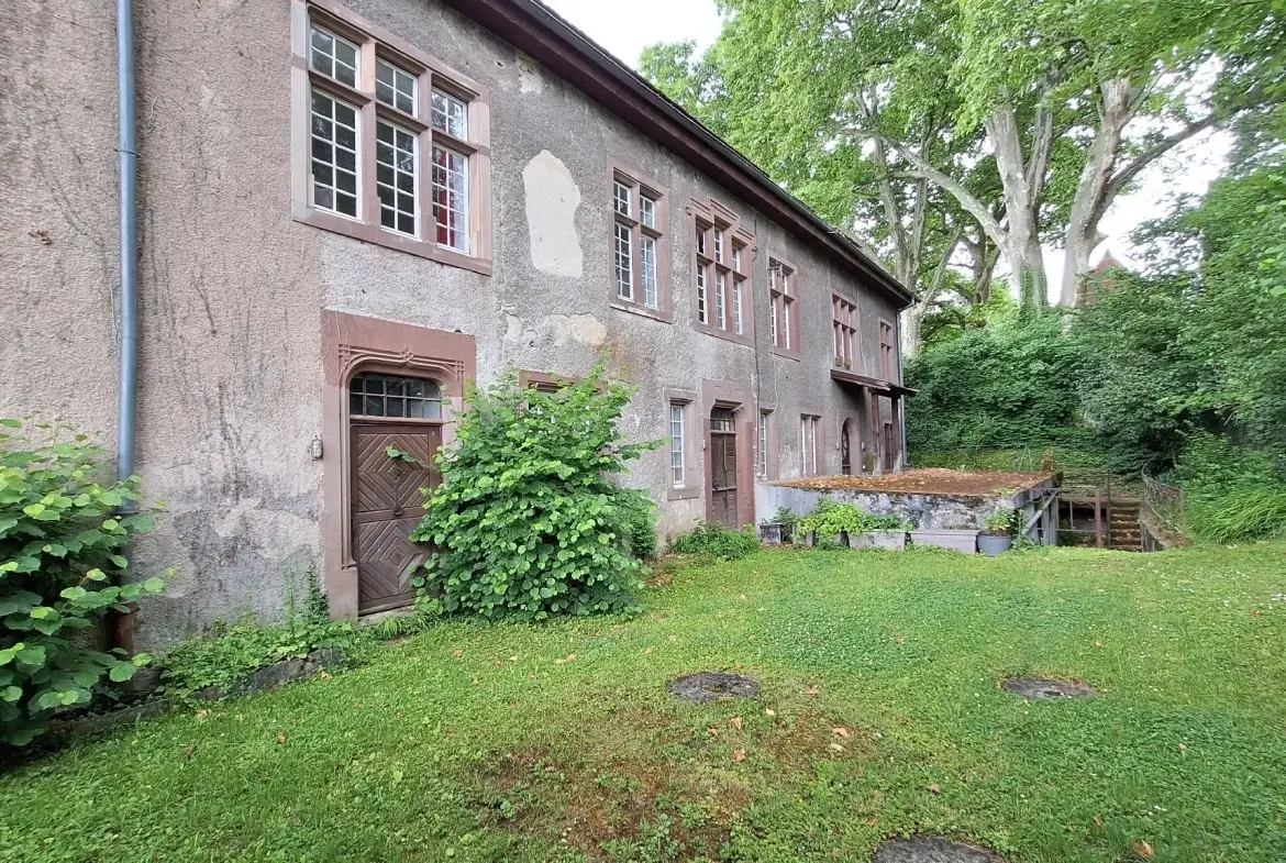 Appartement spacieux 5 pièces à Heidwiller – 131 m², caves et jardin 