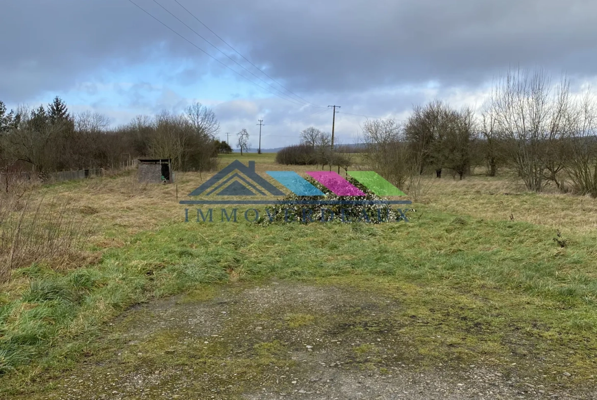 Maison de village à Arracourt de 215 m² avec dépendances et grand terrain 