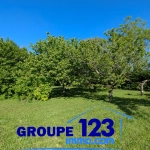Terrain constructible calme et verdoyant à Appoigny