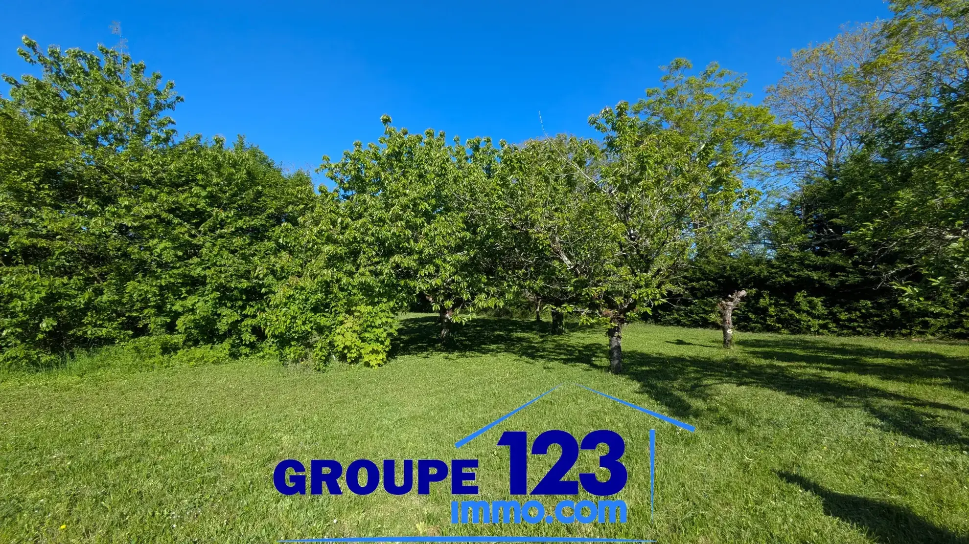 Terrain constructible calme et verdoyant à Appoigny 
