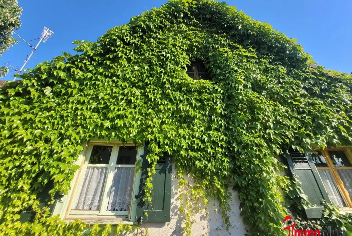 Maison à rénover de 90 m² à Village-Neuf - Proche frontières et transports 