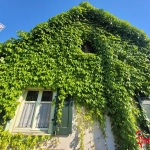 Maison à rénover de 90 m² à Village-Neuf - Proche frontières et transports