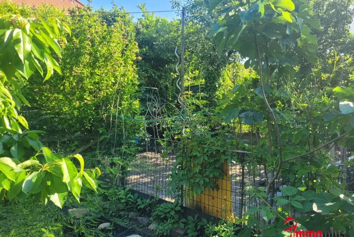 Maison à rénover de 90 m² à Village-Neuf - Proche frontières et transports 