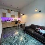 Appartement rénové de 31 m² à Lyon 7 proche Parc Sergent Blandan