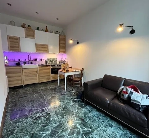 Appartement rénové de 31 m² à Lyon 7 proche Parc Sergent Blandan