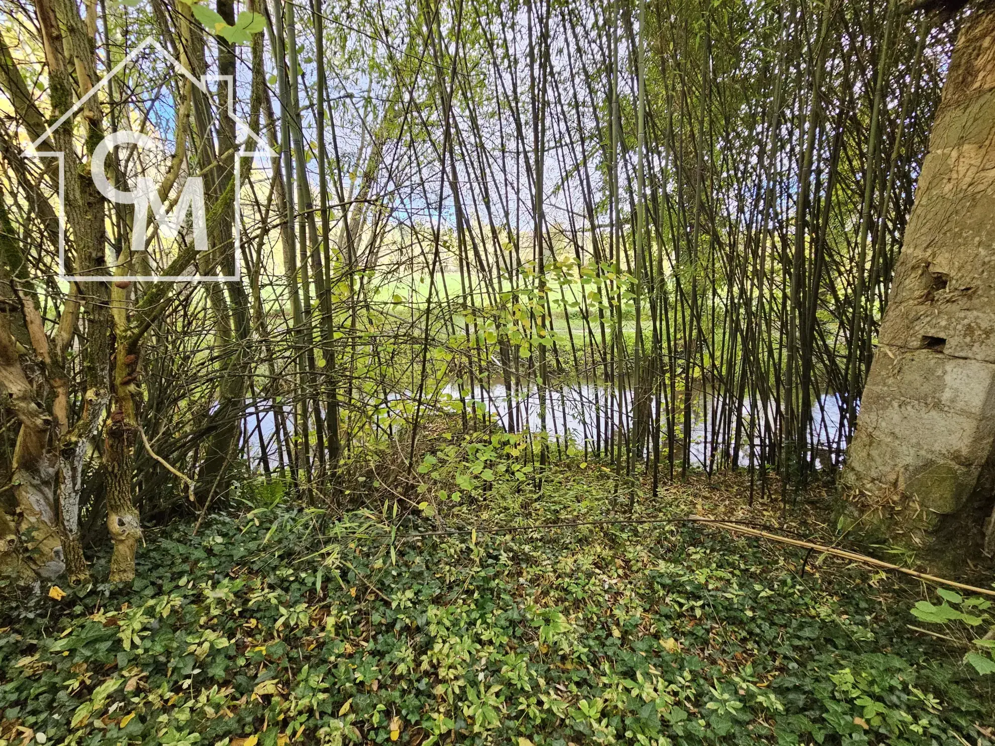 Maison à vendre en centre bourg de La Châtre avec garage et jardin, à proximité de l'Indre 