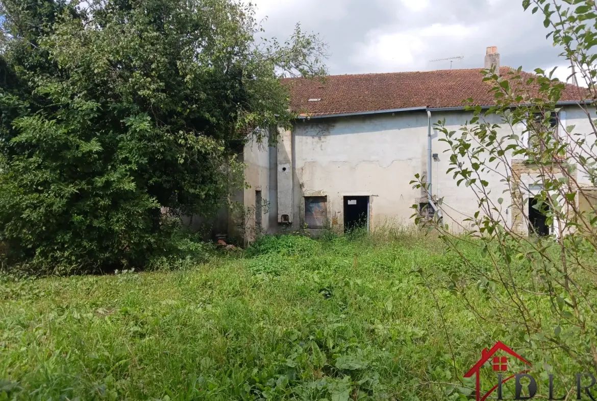 À vendre à Gevigney-et-Mercey : maison de 58m² avec dépendances et jardin, opportunité d'investissement 