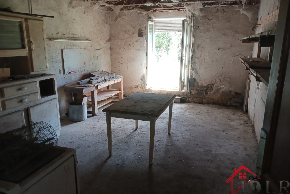À vendre à Gevigney-et-Mercey : maison de 58m² avec dépendances et jardin, opportunité d'investissement 