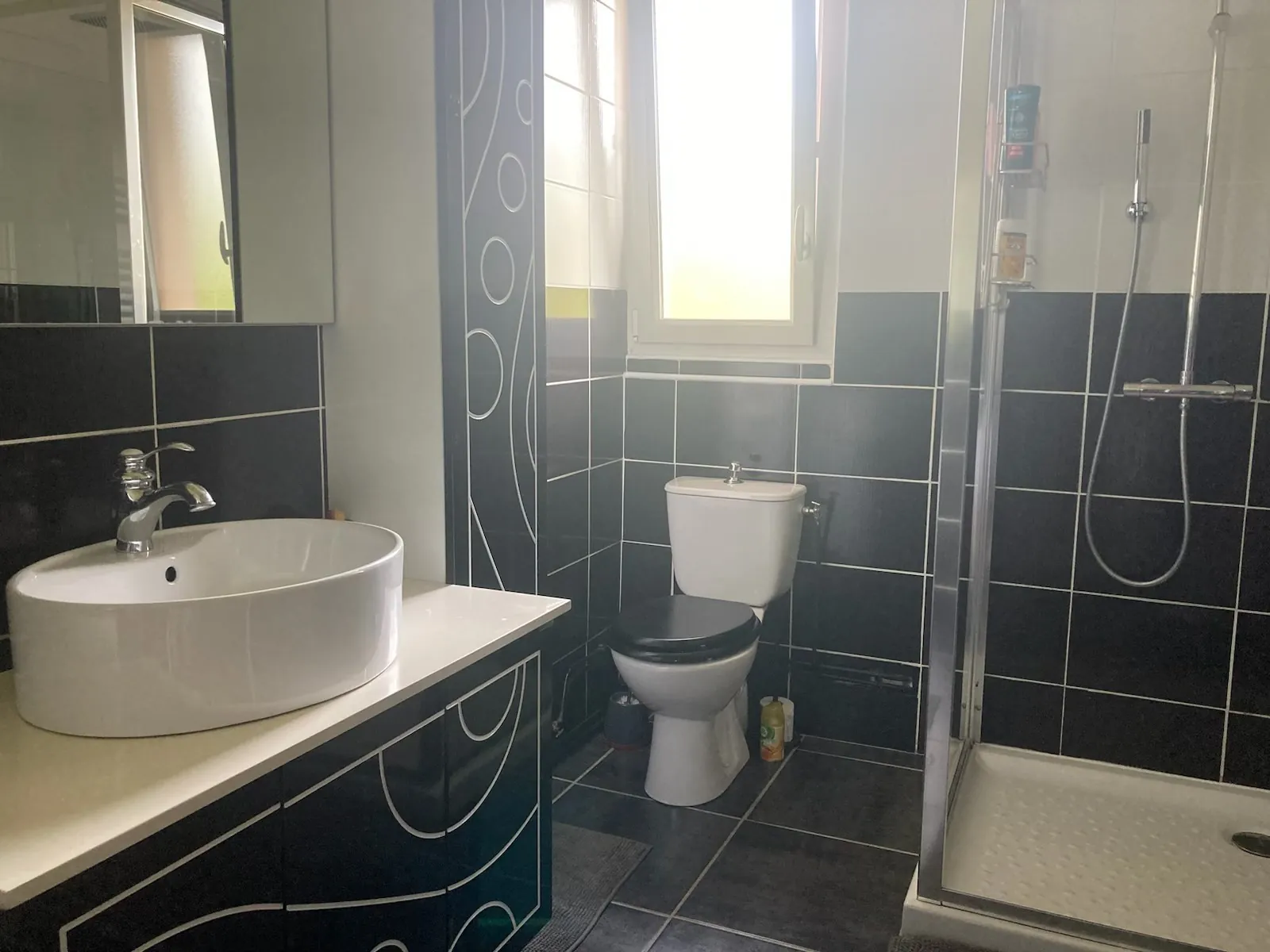 Villa T7 de 208 m² avec grand terrain à Jujurieux, proche d'Ambérieu et Bourg-en-Bresse 