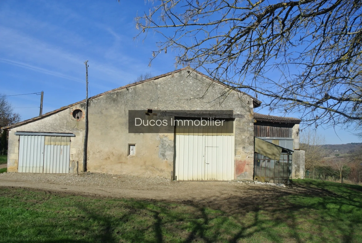 Grange en pierre à réhabiliter à Ste Bazeille, Lot-et-Garonne - Projet immobilier idéal 