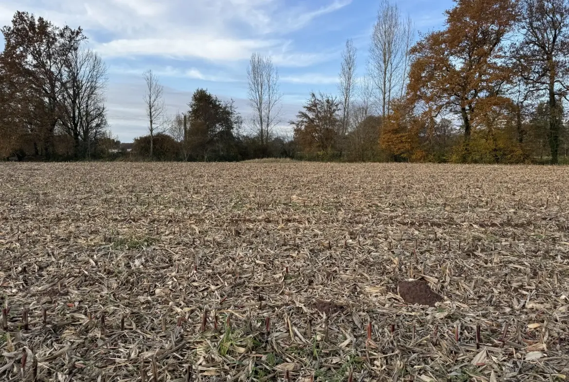 Terrain constructible de 1650 m² à Varetz pour projet de plain-pied 
