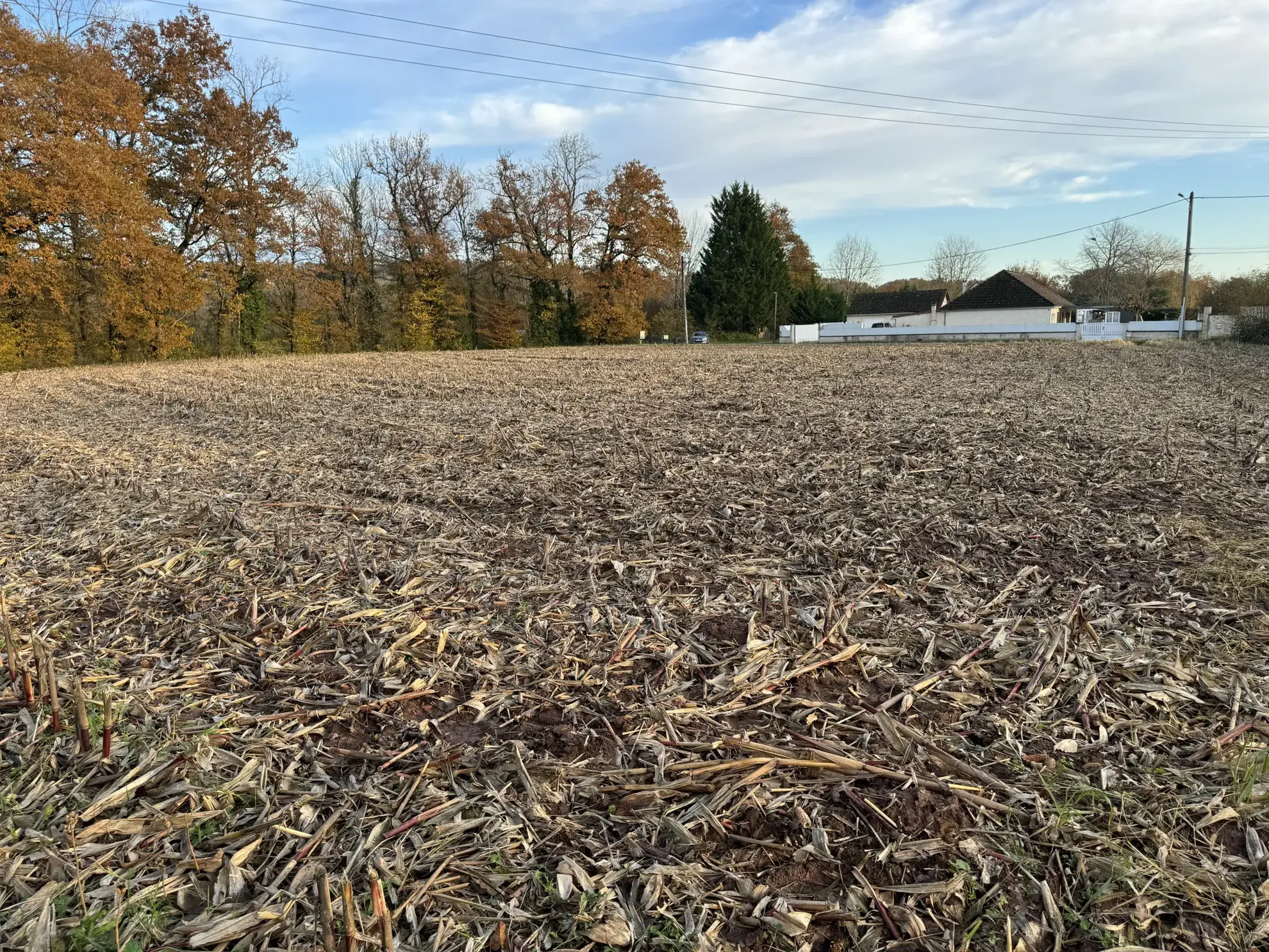 Terrain constructible de 1650 m² à Varetz pour projet de plain-pied 