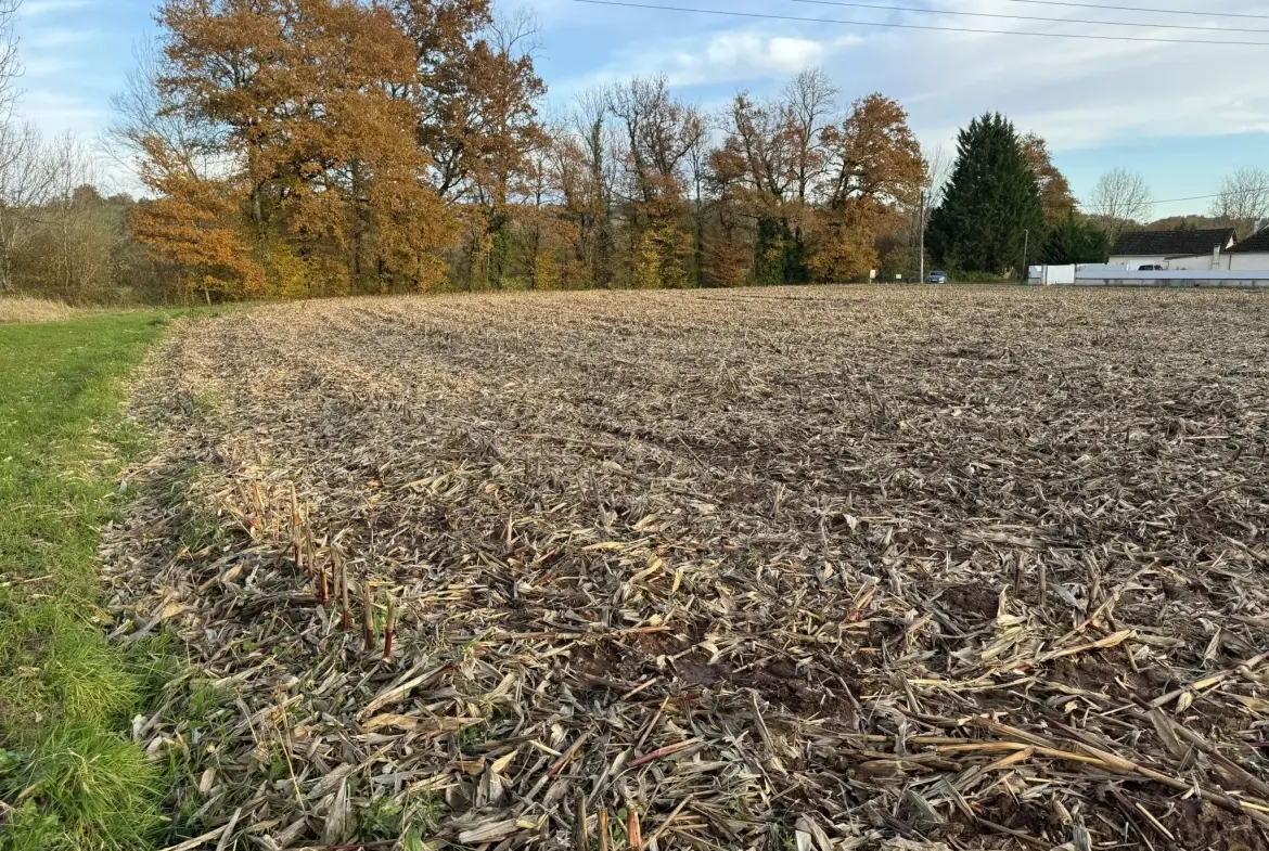 Terrain constructible de 1650 m² à Varetz pour projet de plain-pied 