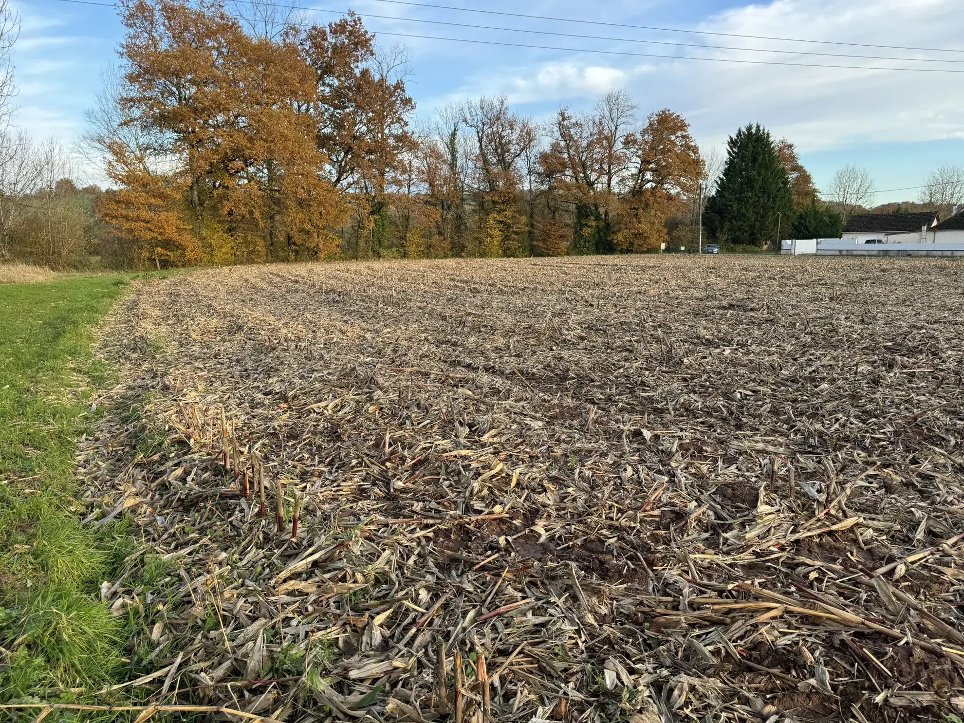 Terrain constructible de 1650 m² à Varetz pour projet de plain-pied 