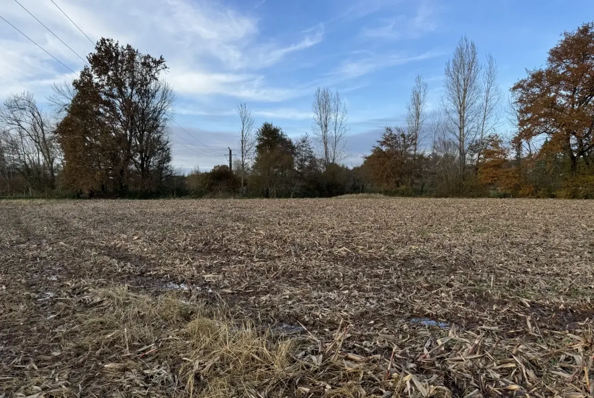 Terrain constructible de 1650 m² à Varetz pour projet de plain-pied 