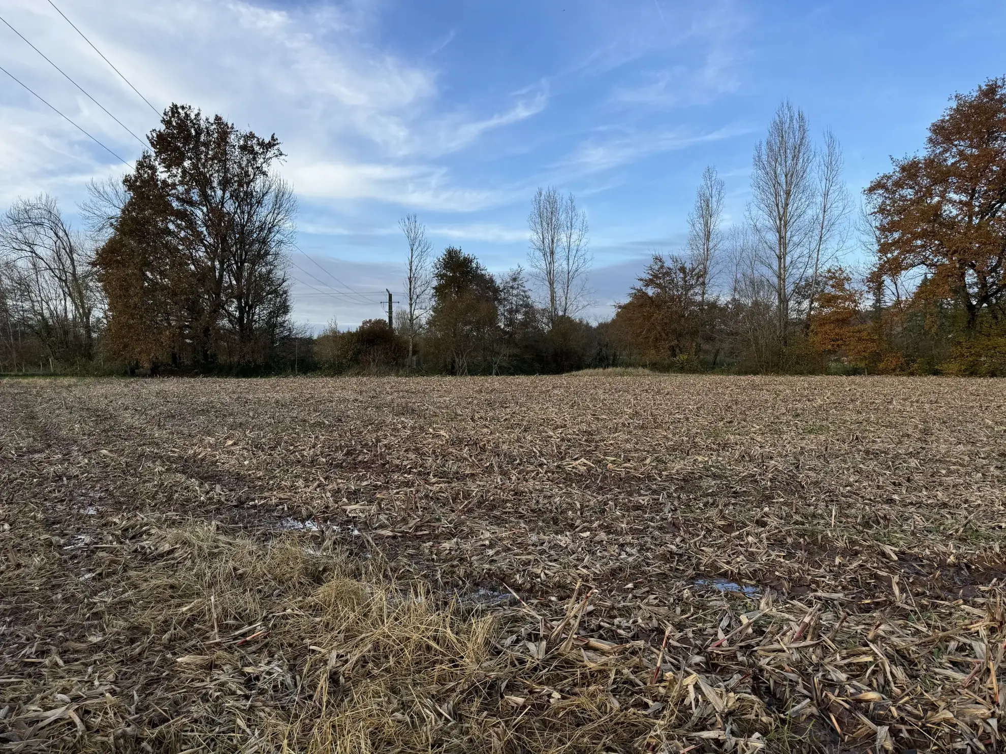Terrain constructible de 1650 m² à Varetz pour projet de plain-pied 