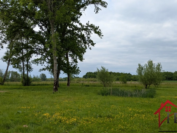 Maison rénovée 145 m² avec terrain de 6750 m², dépendances près de Chaumergy