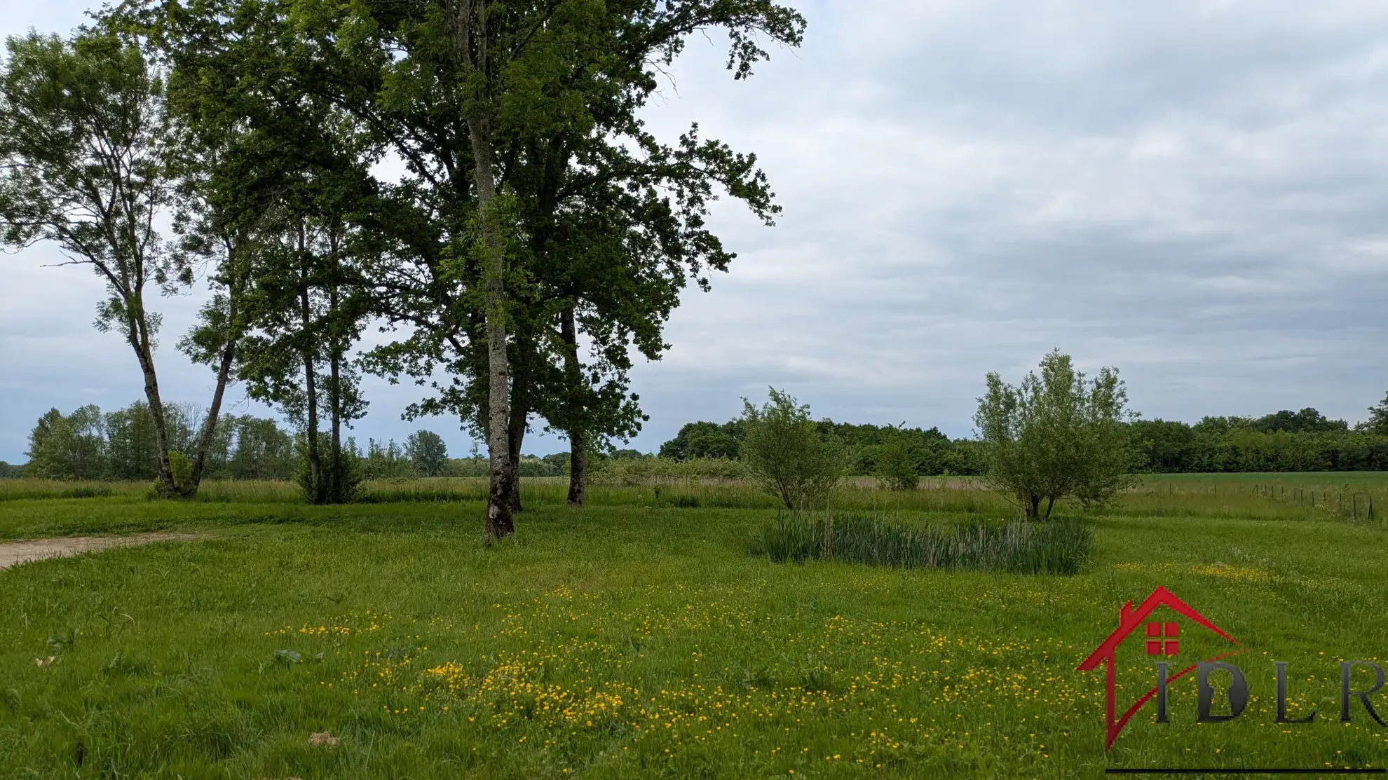 Maison rénovée 145 m² avec terrain de 6750 m², dépendances près de Chaumergy 
